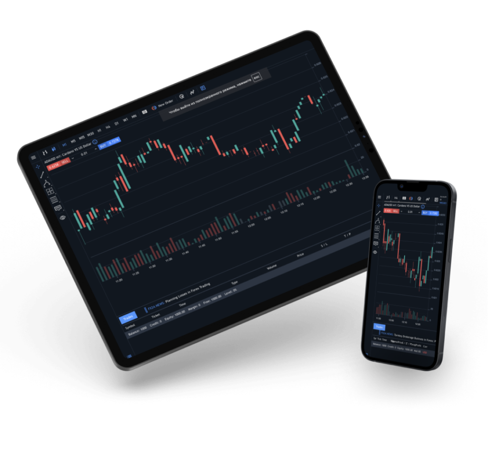 Platform dashboard preview